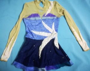 Kids Costumes to Hire - Blue long sleeve leotard - small